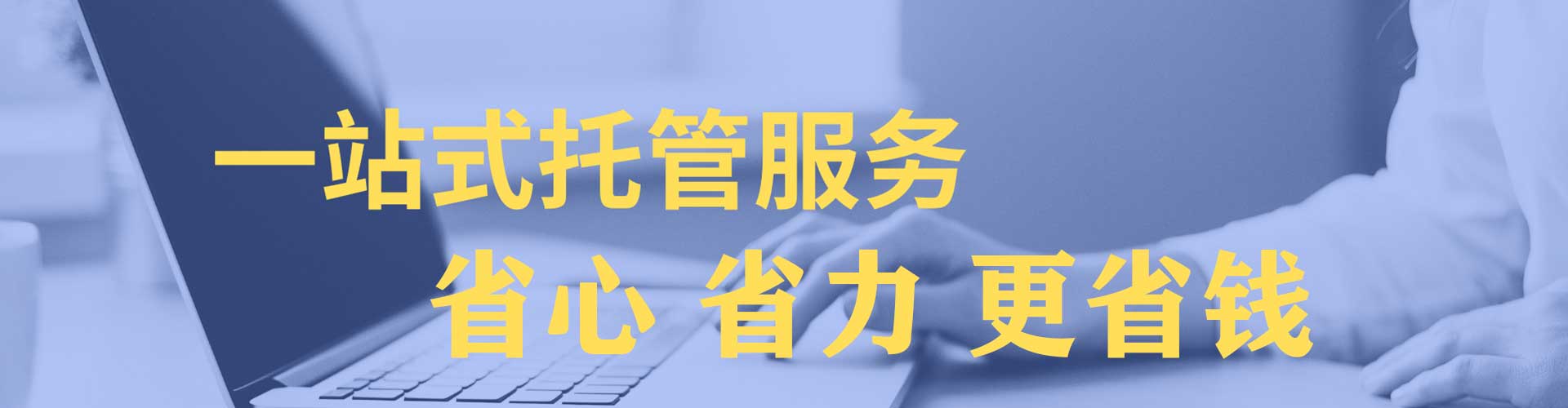 金秀竞价排名
